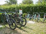 Ferienanlage Baia Verde Mobilehome Giada - Top-Hundeurlaub