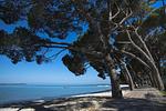 Ferienanlage Bi Village Lodge Deluxe SeaView - Top-Hundeurlaub