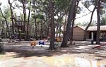 Ferienanlage Bi Village Lodge Comfort - Top-Hundeurlaub