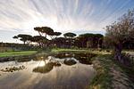 Ferienanlage Capitol Baia Relax New - Top-Hundeurlaub