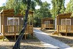 Ferienanlage Capitol Baia Relax New - Top-Hundeurlaub