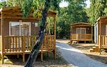 Ferienanlage Capitol Baia Relax New - Top-Hundeurlaub