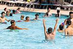 Ferienanlage Classe Chalet 6 - Top-Hundeurlaub
