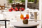 Ferienanlage Classe Chalet 6 - Top-Hundeurlaub