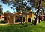 Ferienanlage Istrian Villas Villa V SV4P2 - Top-Hundeurlaub