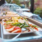 HOTEL TRAUBE - Top-Hundeurlaub