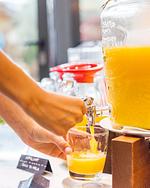 HOTEL TRAUBE - Top-Hundeurlaub