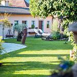 HOTEL TRAUBE - Top-Hundeurlaub