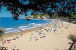 Ferienanlage Manacore Mobilehome Happy Premium Meerblick hillside - Top-Hundeurlaub