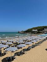 Ferienanlage Manacore Mobilehome Happy Relax Hillside - Top-Hundeurlaub