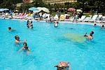 Ferienanlage Oliva Mobilehome Premium 4 Person - Top-Hundeurlaub