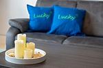 Ferienhaus Lucky - Top-Hundeurlaub