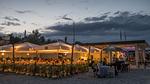 Feriendorf Adriano Chalet Superior - Top-Hundeurlaub