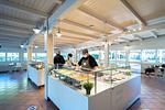 Feriendorf Adriano Chalet Superior - Top-Hundeurlaub