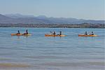 Feriendorf Benedetto Mobilehome Chalet - Top-Hundeurlaub