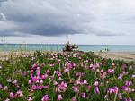 Feriendorf Le Tamerici Bungalow sg - Top-Hundeurlaub