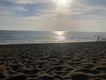 Feriendorf Le Tamerici Bungalow sg - Top-Hundeurlaub