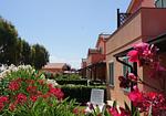 Residenz Rosa dei Venti Bungalow Levante - Top-Hundeurlaub