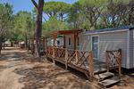 Feriendorf Marze Lodge Superior - Top-Hundeurlaub