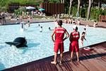 Feriendorf Orbetello Chalet Comfort PET - Top-Hundeurlaub