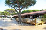 Feriendorf Orbetello Chalet Comfort PET - Top-Hundeurlaub