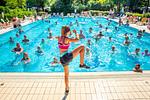 Feriendorf Sabbiadoro Mobilehome F Plus - Top-Hundeurlaub