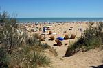 Feriendorf Sabbiadoro Mobilehome F Plus - Top-Hundeurlaub