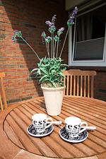 Ferienwohnung Strandbox - Top-Hundeurlaub