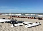 Ferienpark Cesenatico Mobilehome Ven - Top-Hundeurlaub