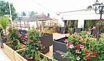 Ferienpark Domaine La Yole Mobilehome Happy Premium - Top-Hundeurlaub