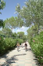 Ferienpark FreeBeach Mobilehome Happy Premium - Top-Hundeurlaub