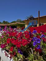 Ferienpark FreeBeach Mobilehome Happy Premium - Top-Hundeurlaub