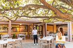 La Risacca Family Camping Village Lodge Superior - Top-Hundeurlaub