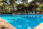 Marina Romea Camping Village Lodge Superior Dog - Top-Hundeurlaub