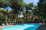 Marina Romea Camping Village Lodge Superior Dog - Top-Hundeurlaub