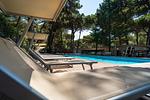 Marina Romea Camping Village Lodge Superior Dog - Top-Hundeurlaub