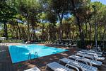 Marina Romea Camping Village Lodge Superior Dog - Top-Hundeurlaub