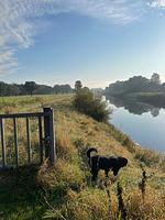  Fahrrad-Land & Meer -in Ostfriesland, Nordsee - Top-Hundeurlaub