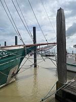  Fahrrad-Land & Meer -in Ostfriesland, Nordsee - Top-Hundeurlaub