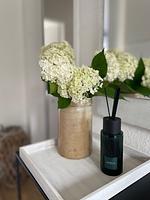  Fahrrad-Land & Meer -in Ostfriesland, Nordsee - Top-Hundeurlaub