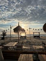 Puik en Duin Ferienhaus 6 Noordwijk - Top-Hundeurlaub