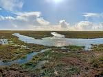 Natur - Nordlicht - Top-Hundeurlaub