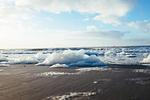 Strand - Nordstrandperle Ap. H2 - Top-Hundeurlaub