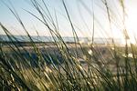 Strand - Nordstrandperle Ap. S6 - Top-Hundeurlaub