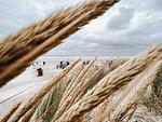 Strand - Nordstrandperle Ap. S6 - Top-Hundeurlaub