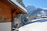 Chalet Meiseli - Top-Hundeurlaub