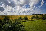 Landschaft - Doppelhaus 1: Terrasse - Top-Hundeurlaub