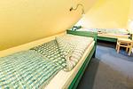 Buchenhof 5b (Typ V) - Top-Hundeurlaub