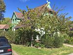 Weidenhof 3d (Typ I) - Top-Hundeurlaub