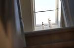 Strand Suite - Top-Hundeurlaub
